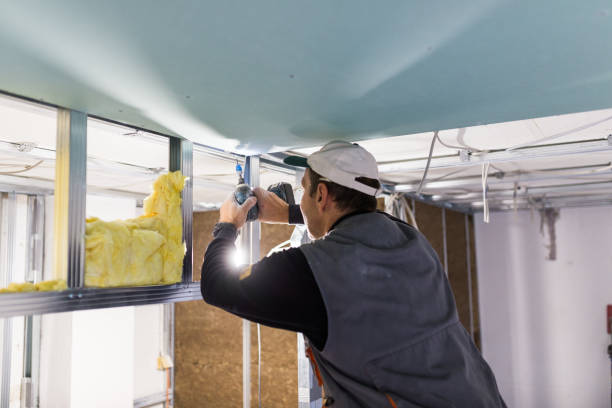Best Residential Insulation in Denver, IA